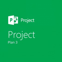 Microsoft Project (Plan 3)